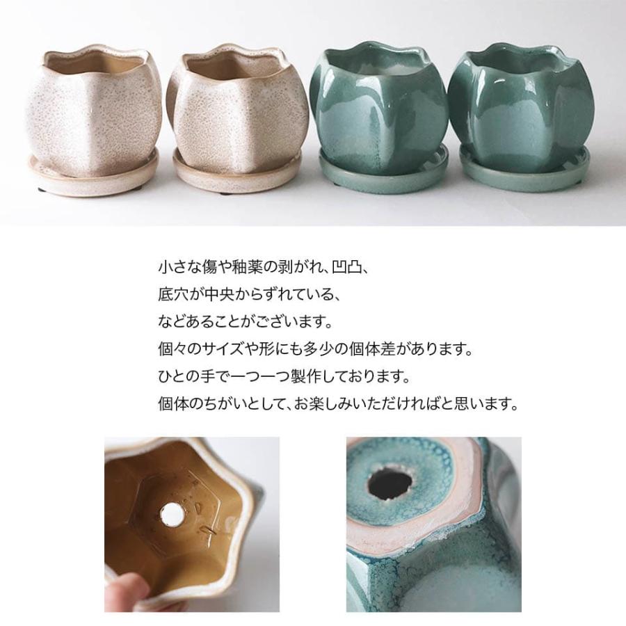 パプリカ／陶器鉢4号 受け皿付 観葉植物 アロイド アロエ アガベ