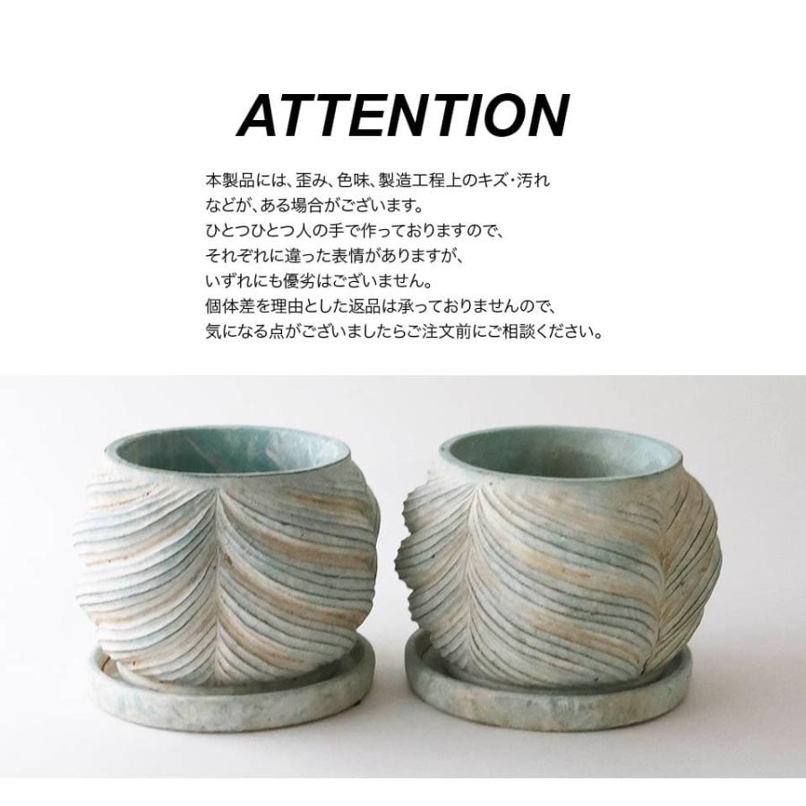 サージ／植木鉢4号・5号 受皿付 観葉植物 アロイド アロエ アガベ