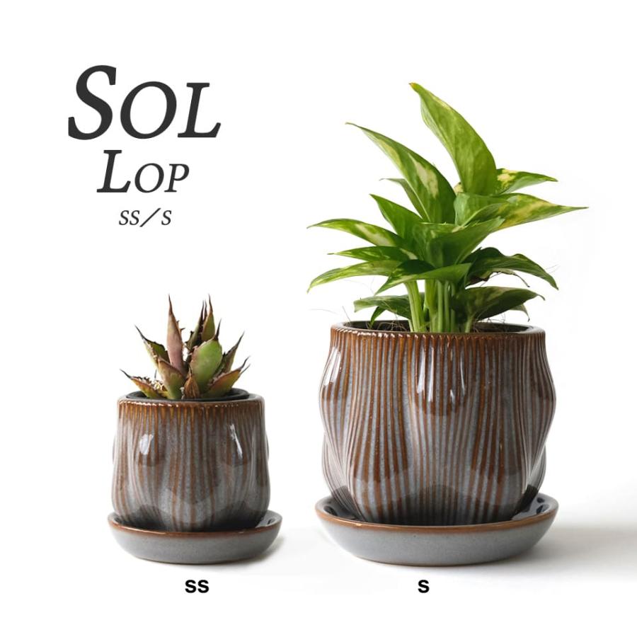 葉っぱ型唐木の受け皿、象嵌 葉っぱ型唐木の受け皿、象嵌