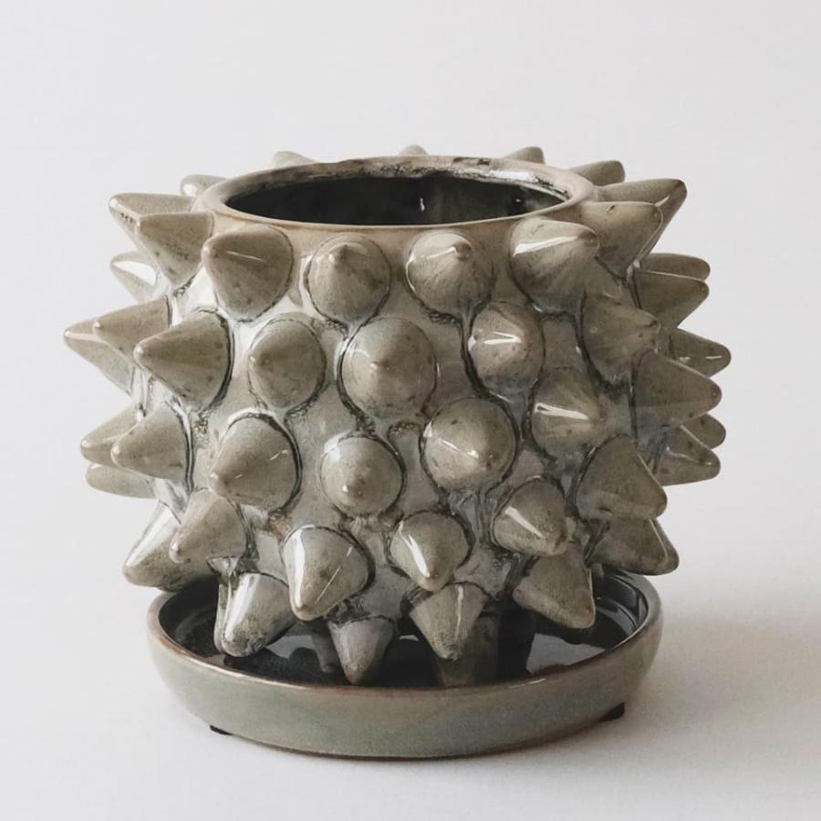 ソルトゲ【グレー】 Φ18cm×14cm 植木鉢 受け皿付 5号 陶器 棘 球形