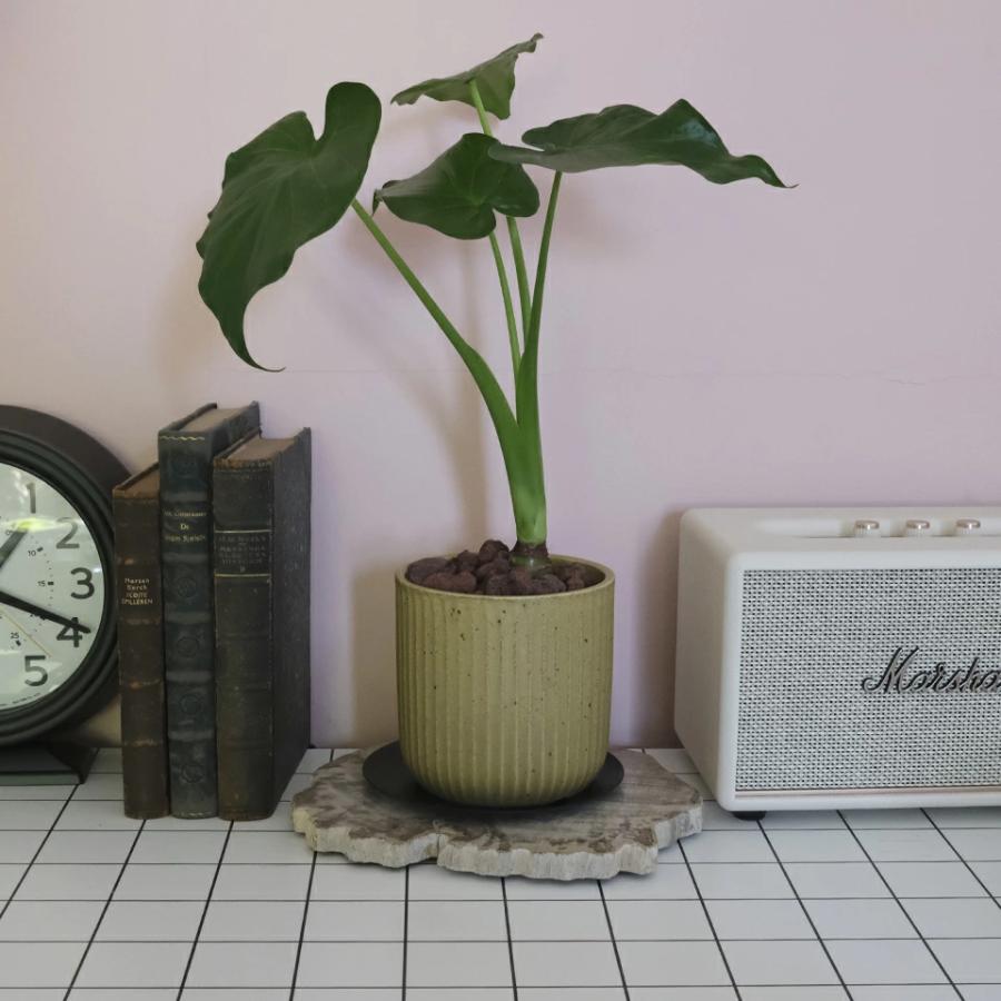 美濃焼 STRIPE-POT 4号 12cm 陶器 植木鉢 受け皿付 シンプル 縦縞 陶器