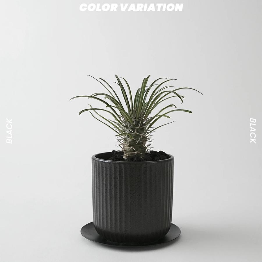 美濃焼 STRIPE-POT 4号 12cm 陶器 植木鉢 受け皿付 シンプル 縦縞 陶器