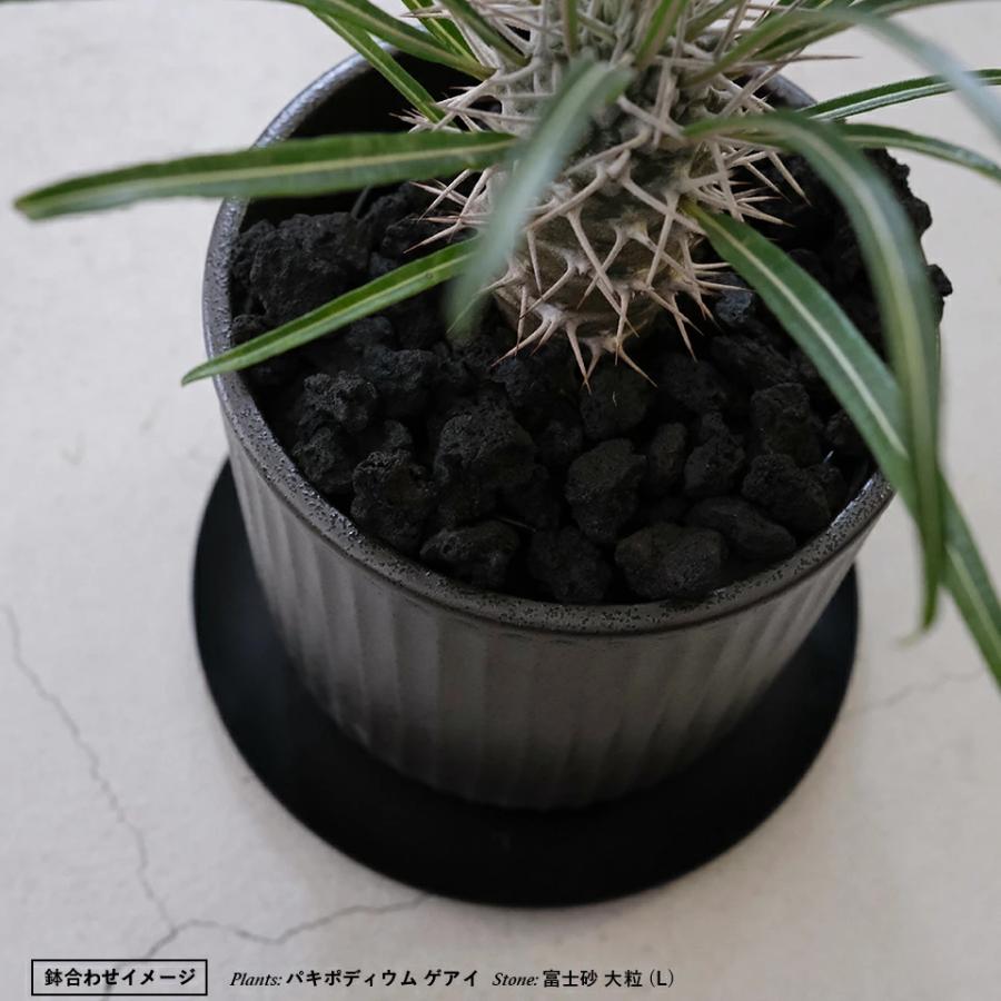 美濃焼 STRIPE-POT 4号 12cm 陶器 植木鉢 受け皿付 シンプル 縦縞 陶器
