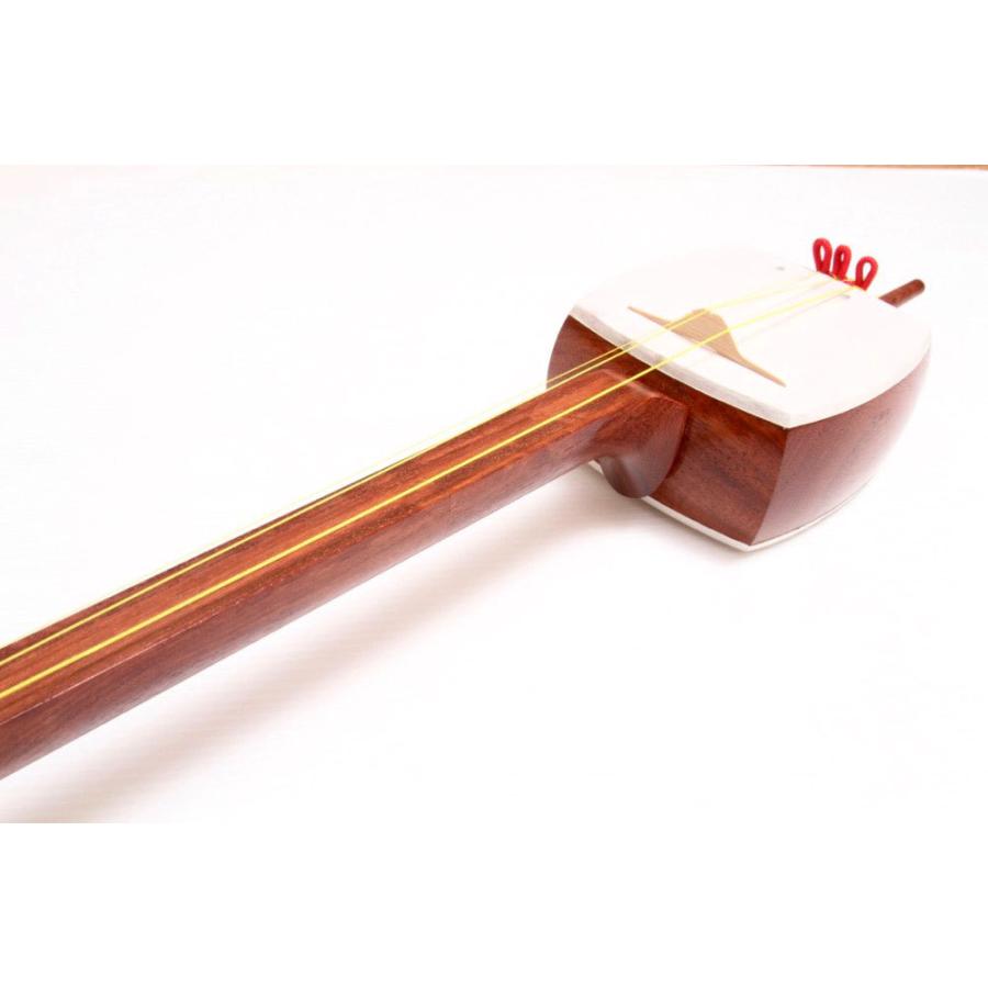 胡弓 民族楽器 練習用 皮張り