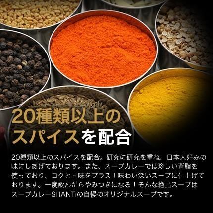 【期間限定】北海道札幌発祥のSHANTi（シャンティ）オリジナルスープカレーの期間限定スペシャル5個セット＜辛さ選べる２〜10ボーガ＞ |  | 02