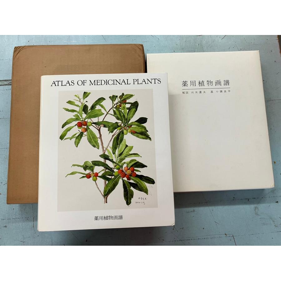 薬用植物画譜 画：小磯良平 武田薬品：発行 CK01-4 : 写楽堂古書店