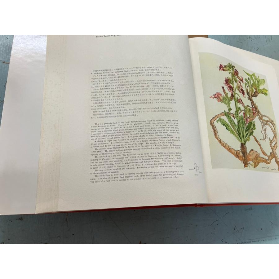 故小磯良平編集による薬用植物画譜 薬用植物画譜 小磯良平画(刈米達夫 (解説) 小磯良平 (画)) / 古本