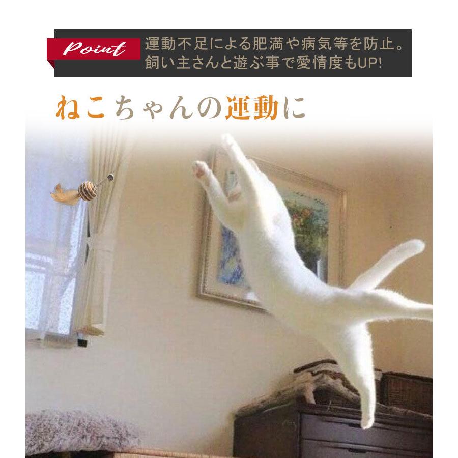 猫じゃらし ねこじゃらし 猫用おもちゃ 猫 ねこ ネコ 羽根 鈴 猫用品 雑貨 猫おもちゃ ストレス解消 運動不足解消 鳥の羽 鳥のハネ 可愛い｜share-21｜07