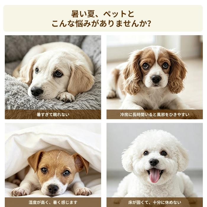 猫 ベッド 猫爪とぎ ペットベッド 猫の爪とぎ S M L 猫用 犬用 天然素材 ガマ編み ストレス解消 無害無臭 夏用 可愛い 耐久性 爪みがき ストレス発散 円型 |  | 02
