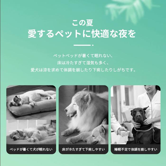 ペットベッド 猫用 犬用  夏用 S M L XL ひんやり天然素材 ラタン編み ストレス解消 暑さ対策 無害無臭 夏用 可愛い 耐久性 シンプル 四方形 10色展開 |  | 13