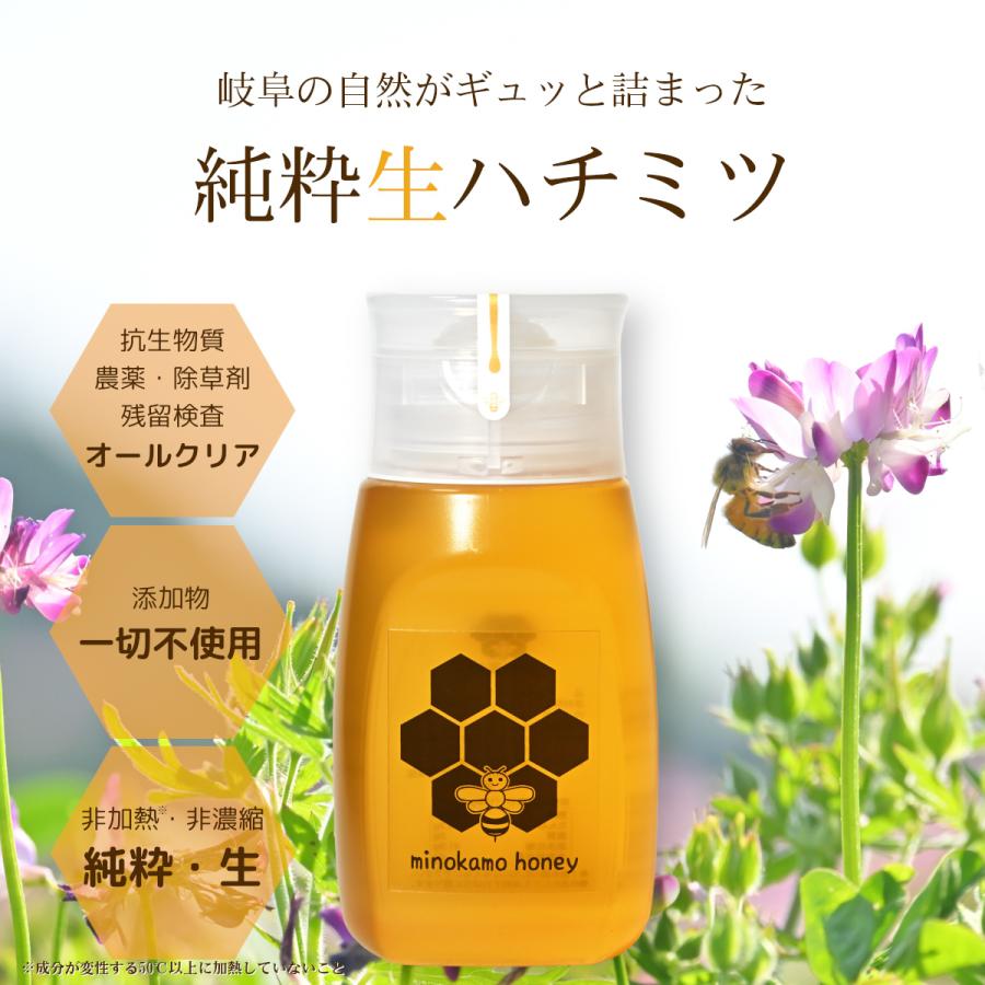 はちみつ 国産 純粋 非加熱 MINOKAMO HONEY 300g 1本 岐阜県産 百科蜜