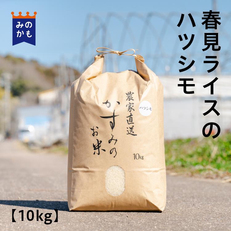 お米 白米 岐阜県産ハツシモ10kg 春見ライスのお米 送料無料 お米 白米 岐阜県産ハツシモ10kg 春見ライスのお米 送料無料