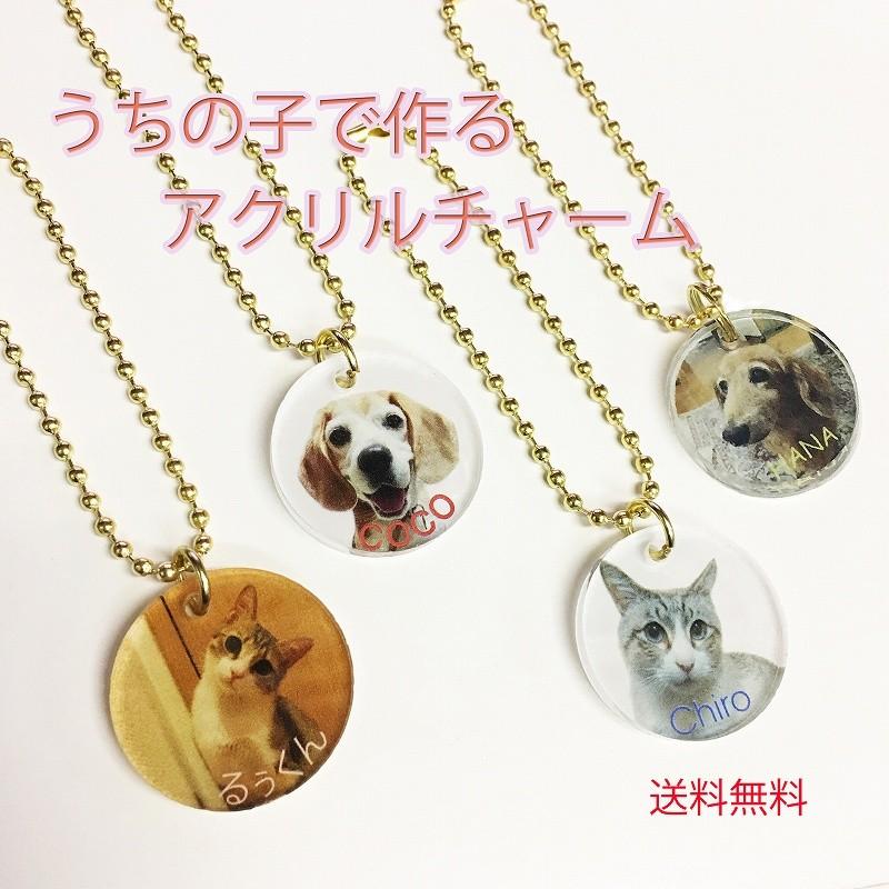 ペット 写真で アクリル フォト チャーム オリジナル 愛猫 ネームプレート 首輪 迷子札 ストラップに 目印 お散歩 メール便対応 プレゼント 03 Or0 Sharero 通販 Yahoo ショッピング