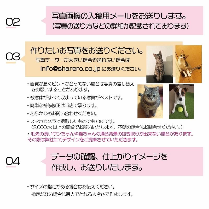 写真で うちの子 アクリル フォトスタンドm オリジナル 愛猫 フォトプレート 愛犬 ウエルカムボード ペット メモリアル 位牌 思い出 03 Or031 Sharero 通販 Yahoo ショッピング