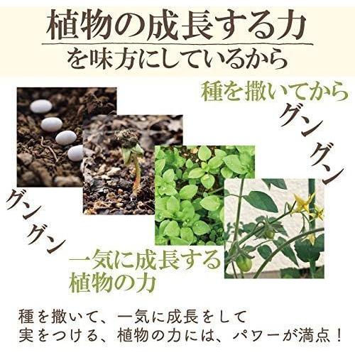 犬の免疫力 サプリメント 緑の魔法 猫 犬用の免疫力 心臓 脳 老化に無添加のサプリドッグダイナー 猫雑貨 Www Arrowspeedline Com Vn