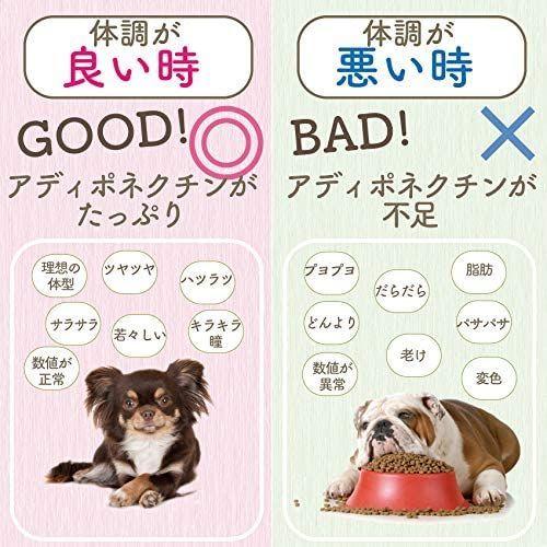 犬の免疫力 サプリメント 緑の魔法 猫 犬用の免疫力 心臓 脳 老化に無添加のサプリドッグダイナー 猫雑貨 Www Mantraman Com Mx