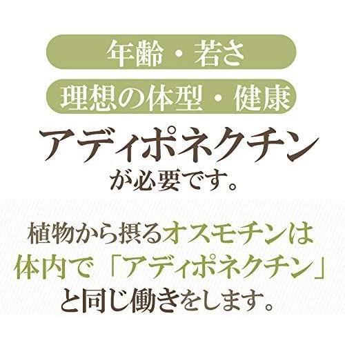 犬の免疫力 サプリメント 緑の魔法 猫 犬用の免疫力 心臓 脳 老化に無添加のサプリドッグダイナー 猫雑貨 Www Mantraman Com Mx