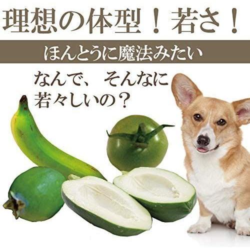 犬の免疫力 サプリメント 緑の魔法 猫 犬用の免疫力 心臓 脳 老化に無添加のサプリドッグダイナー 猫雑貨 Www Mantraman Com Mx