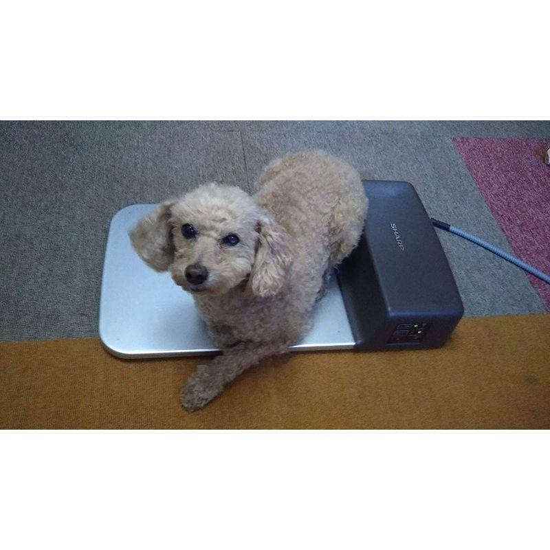 シャープ 冷暖プレート 冷暖プレート