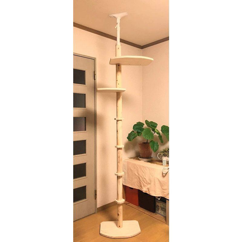 送料無料 ワイルドキャットタワー２WAY ひのき丸太（檜）仕様 天井高2.45~2.60用 一台で木登りとステップタワー組合せ自由自在 国産職人手作り 【W2963232880】(17705円)