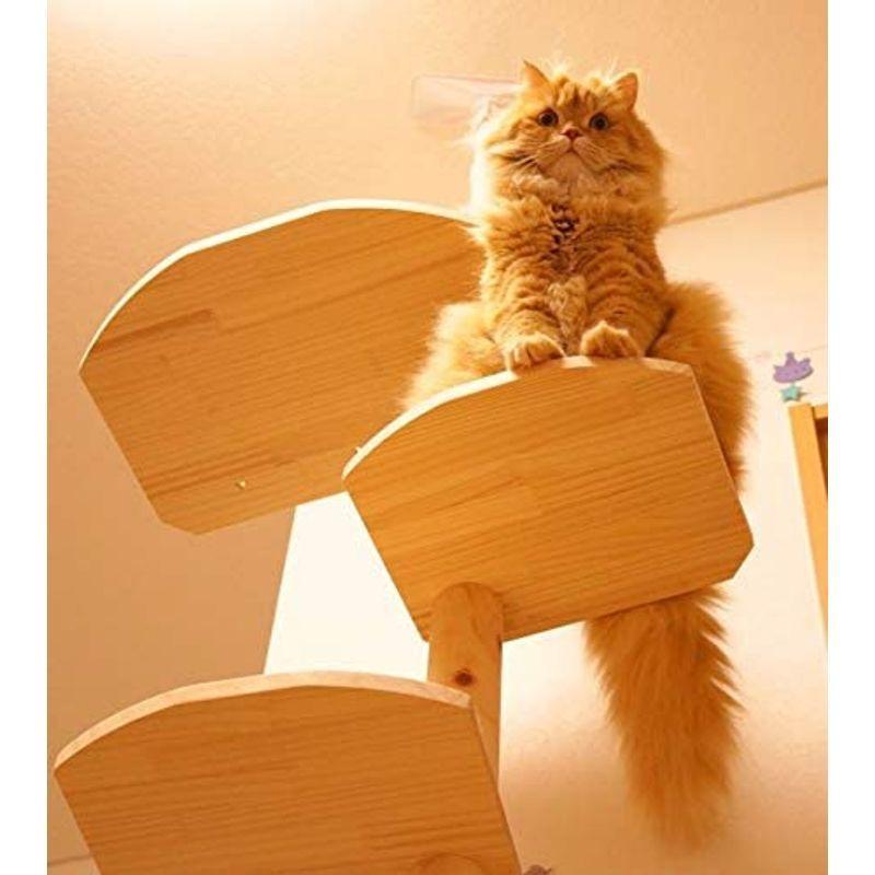 送料無料 ワイルドキャットタワー２WAY ひのき丸太（檜）仕様 天井高2.45~2.60用 一台で木登りとステップタワー組合せ自由自在 国産職人手作り 【W2963232880】(17705円)