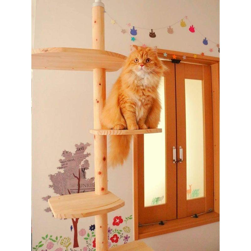 送料無料 ワイルドキャットタワー２WAY ひのき丸太（檜）仕様 天井高2.45~2.60用 一台で木登りとステップタワー組合せ自由自在 国産職人手作り 【W2963232880】(17705円)