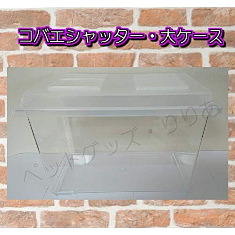 コバエシャッター 大ケース×８個