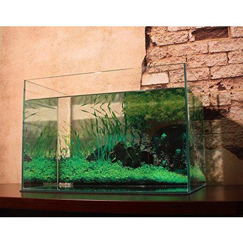 Aquagraphix 水槽バックスクリーン Ag 001 水草 45cm用 Majesticxpress Com