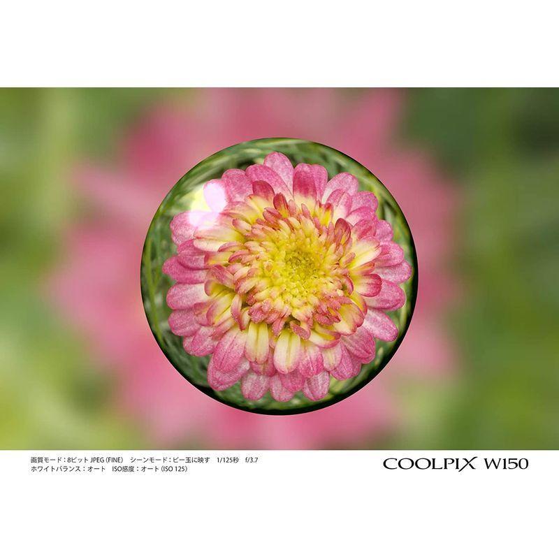 【２点セット】 Nikon デジタルカメラ COOLPIX W150 防水 W150WH クールピクス ホワイト 【AA8123740568】(29350円)