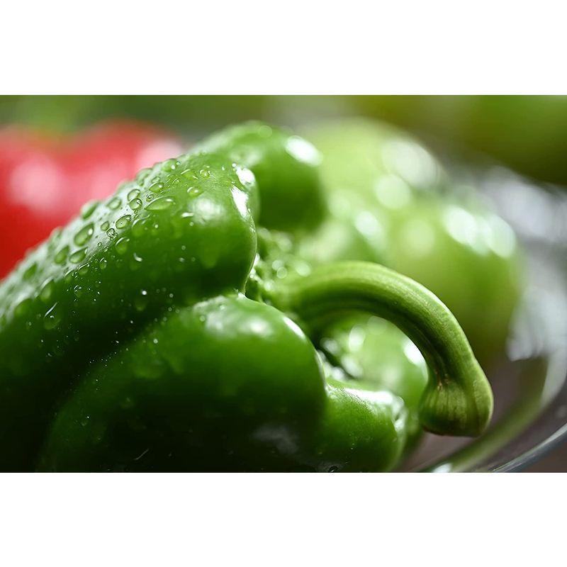 【超美品】 Nikon 単焦点マクロレンズ NIKKOR Z MC 105mm f/2.8 VR S Zマウント フルサイズ対応 Sライン NZMC10 【TM1859570882】(67184円)