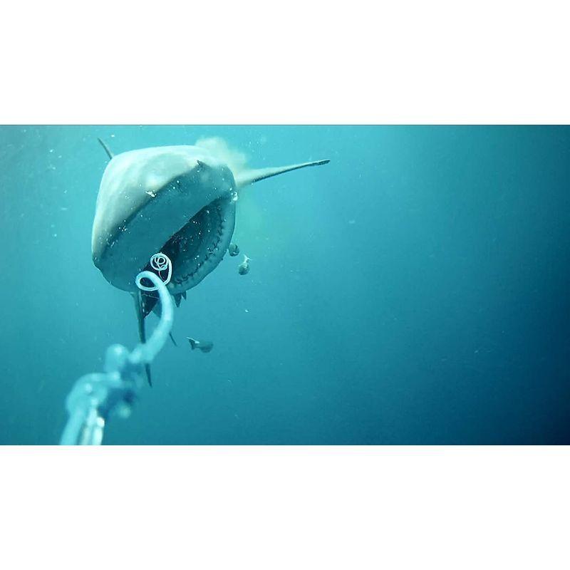 Go FISH CAM ゴーフィッシュカム 防水 水中カメラ 長時間バッテリー 暗闇撮影 64GB Micro SDカード対応 1080p FISH CAM ゴーフィッシュカム 防水 水中カメラ 長時間バッテリー 暗闇撮影 64GB Micro SDカード対応 1080p