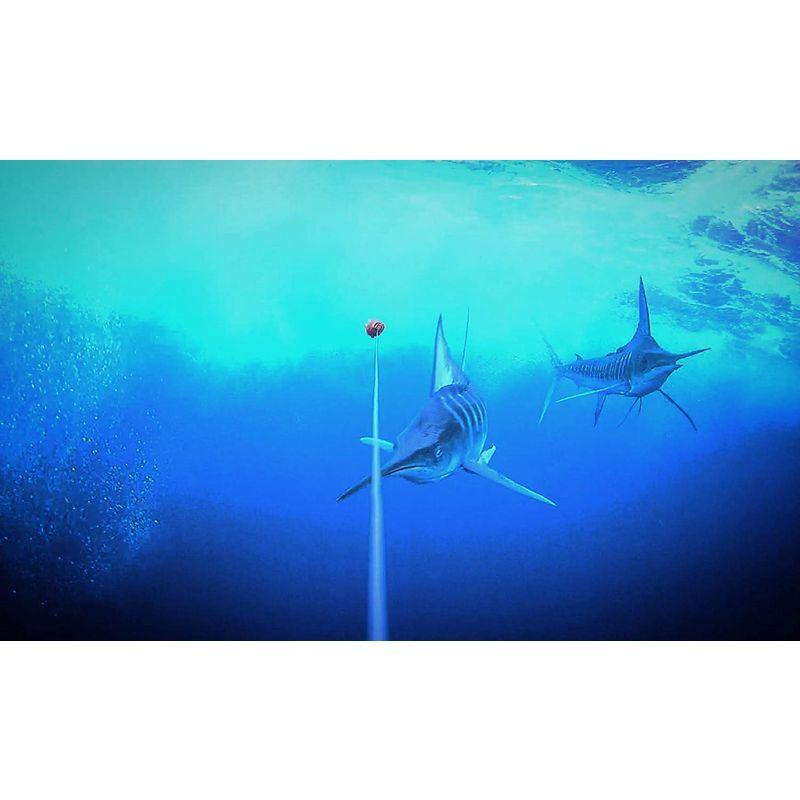 Go FISH CAM ゴーフィッシュカム 防水 水中カメラ 長時間バッテリー 暗闇撮影 64GB Micro SDカード対応 1080p FISH CAM ゴーフィッシュカム 防水 水中カメラ 長時間バッテリー 暗闇撮影 64GB Micro SDカード対応 1080p