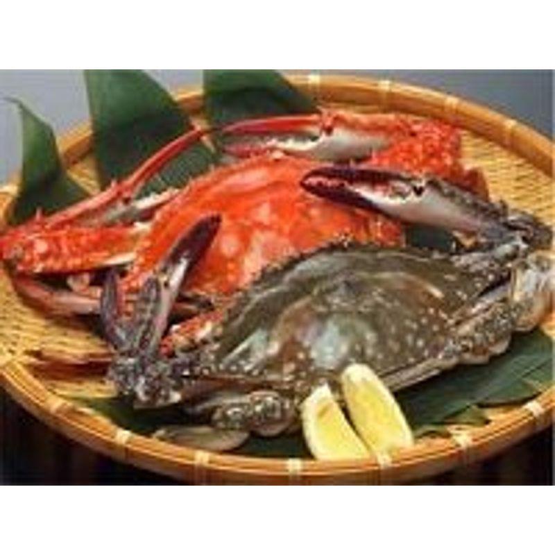 オンライン売上 愛知県産 活け〆 渡り蟹 ガザミ ワタリガニ オス １ｋｇ 3 5匹 値下げ販売中 Shirleyryan Ca