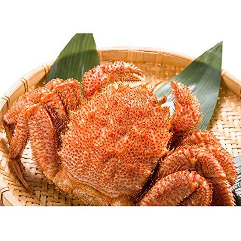 京都 買取 最高ランク 北海道毛ガニ 圧巻の660g 1尾 お中元 水産物応援商品 業差最安値に挑戦 堅蟹をボイルし急速冷凍 国内産 極上毛ガニ 純正一掃 Superavila Com