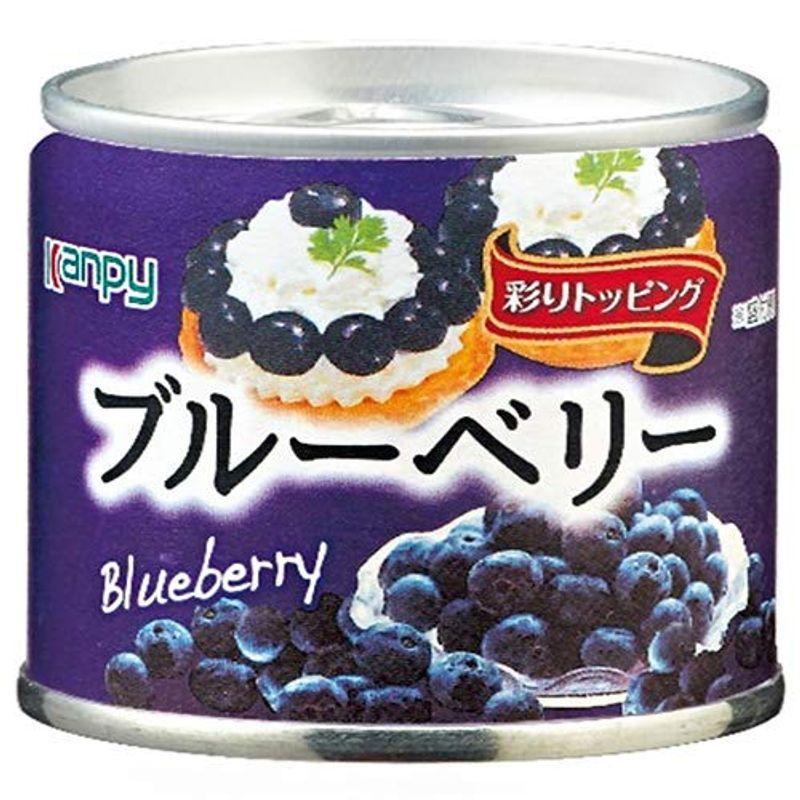 カンピー ブルーべリー 85g缶×24個入×(2ケース)