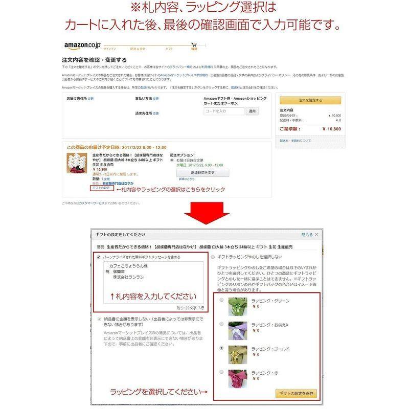 胡蝶蘭専門店はなやか 胡蝶蘭 白大輪 3本立ち 24輪以上 胡蝶蘭 白大輪 3本立ち 24輪以上 　