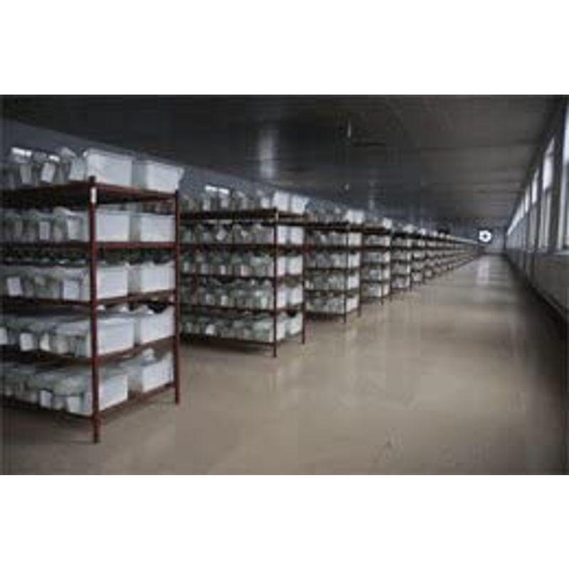 ストレスフリー養殖 冷凍ファジーマウス 5.5cm 200匹 クール便 冷凍ファジーマウス 5cm 200匹 クール便 爬虫類 　