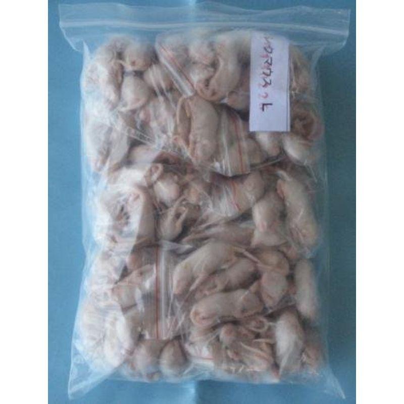 クール便発送 冷凍ピンクマウスlサイズ 爬虫類 両生類のエサ 約４cm 300匹 爬虫類 両生類用品 300匹 ならショッピング ランキングや口コミも豊富なネット通販 更にお得なpaypay残高も スマホアプリも充実で毎日どこからでも気になる商品をその場で