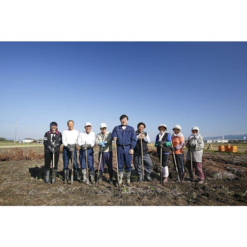 ヤマノイモ 栽培時 農薬 化学肥料 不使用 大和万葉の里 堤さんの 山の芋 13?17個約6kg 奈良 産地直送 栽培時 農薬 化学肥料 不使用 大和万葉の里 堤さんの 山の芋 17個約6kg 奈良 産地直送 　