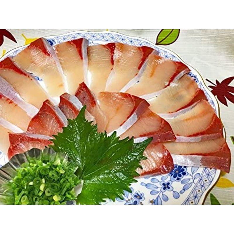 愛媛 ヒラマサ 4 6kgサイズ 刺身 煮魚 焼魚 干物 下処理済み 宇和海の幸問屋 Shareshop 通販 Yahoo ショッピング