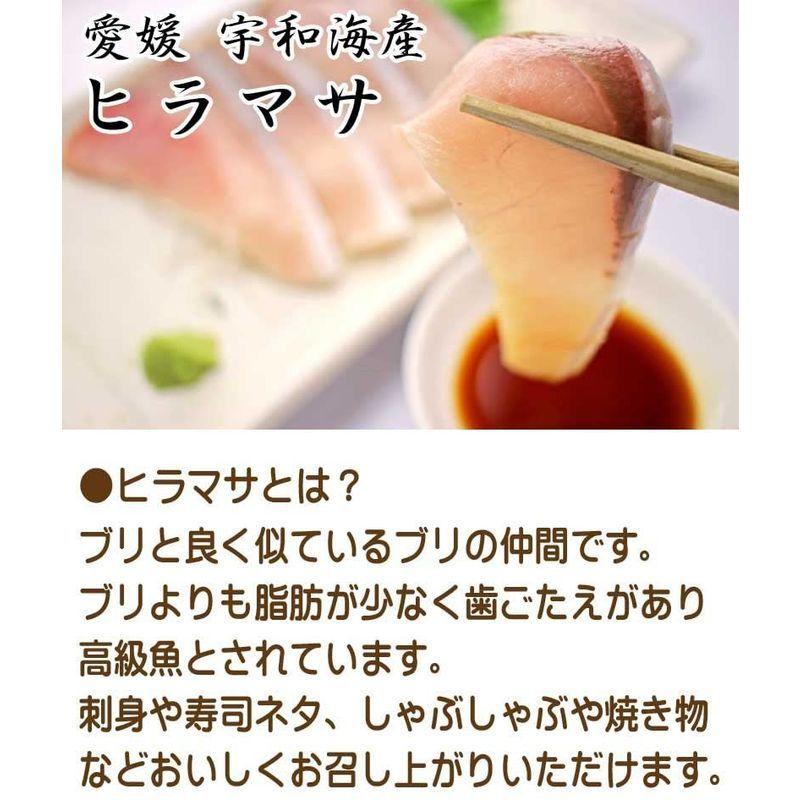 愛媛 ヒラマサ 4 6kgサイズ 刺身 煮魚 焼魚 干物 下処理済み 宇和海の幸問屋 Shareshop 通販 Yahoo ショッピング