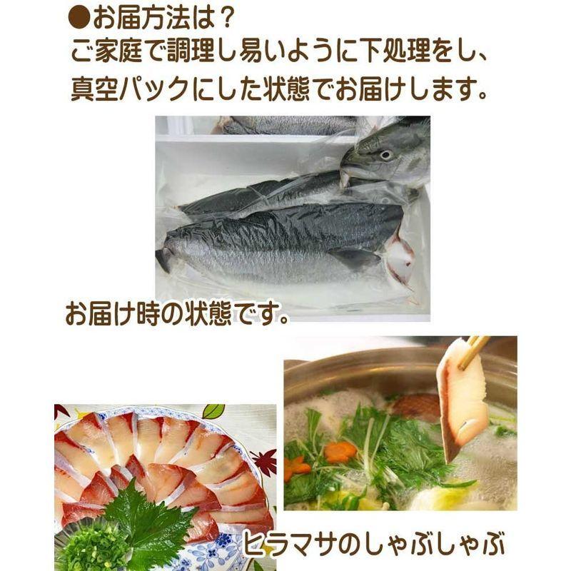 愛媛 ヒラマサ 4 6kgサイズ 刺身 煮魚 焼魚 干物 下処理済み 宇和海の幸問屋 Shareshop 通販 Yahoo ショッピング