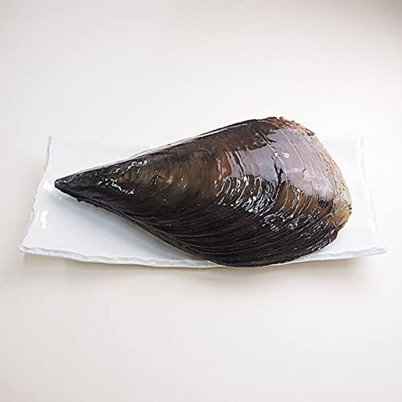 Shareshop築地魚群 平貝 たいらぎ 1枚 ５５ 以上節約