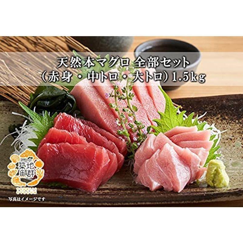 22超人気 築地魚群 天然本マグロ 全部セット 赤身 中トロ 大トロ 1 5kg Babylonrooftop Com Au