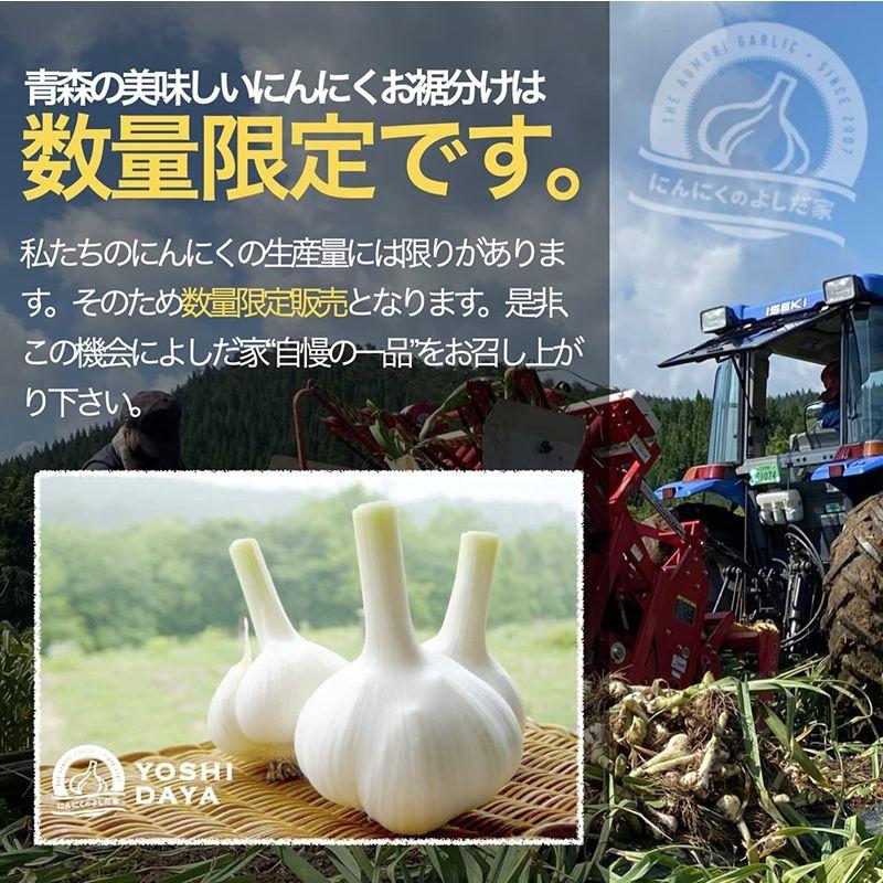 SALE/99%OFF】 にんにくのよしだ家レギュラー最高級品種 青森県産 福地ホワイト六片 国産ニンニク 1KG レギュラー cisama.sc.gov.br SALE/99%OFF】 にんにくのよしだ家レギュラー最高級品種 青森県産 福地ホワイト六片 国産ニンニク 1KG レギュラー cisama.sc.gov.br