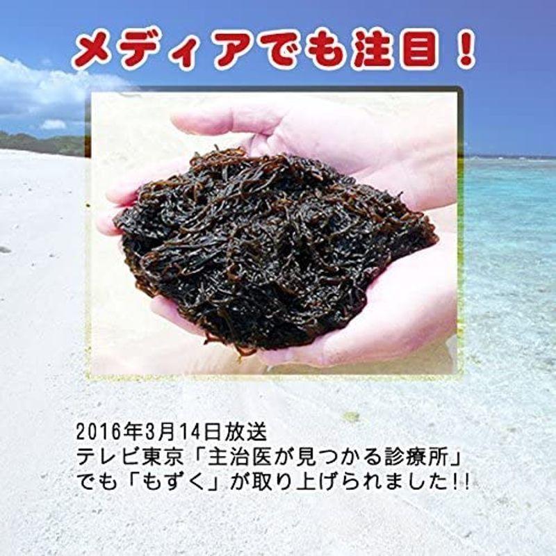 激安価格と即納で通信販売 沖縄県知念産 太もずく 500g 10パック すばる商事 長期保存可能な塩蔵タイプ オキナワモズク 注目成分フコイダン含有 酢の物 天ぷらや Www Highereducationinfoassam Com