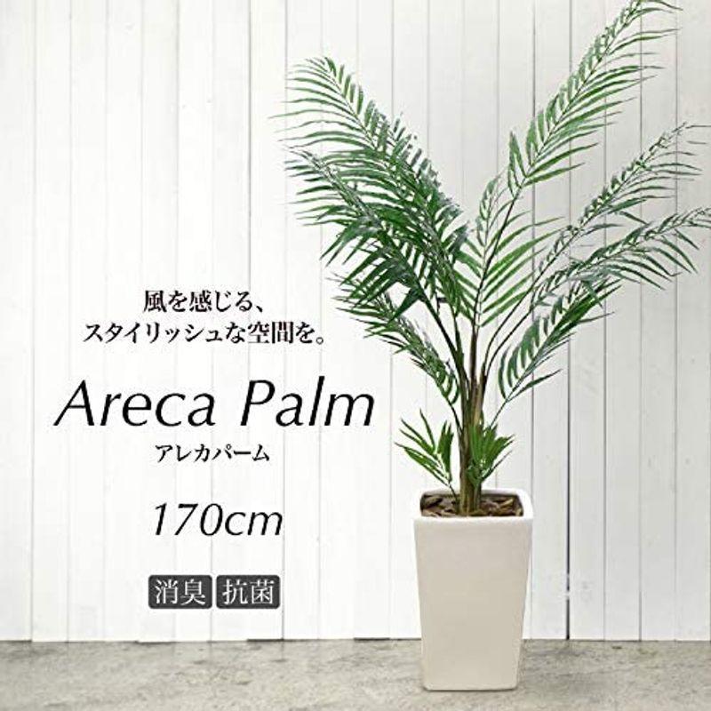 人工観葉植物 フェイクグリーン 観葉植物 造花 光触媒 大型 アレカヤシ 170cm アレカパーム 白鉢（陶器製） インテリア フェイク グ 観葉植物 フェイクグリーン 造花 光触媒 大型 アレカヤシ 170cm アレカパーム 白鉢 陶器製 インテリア フェイク グ 　