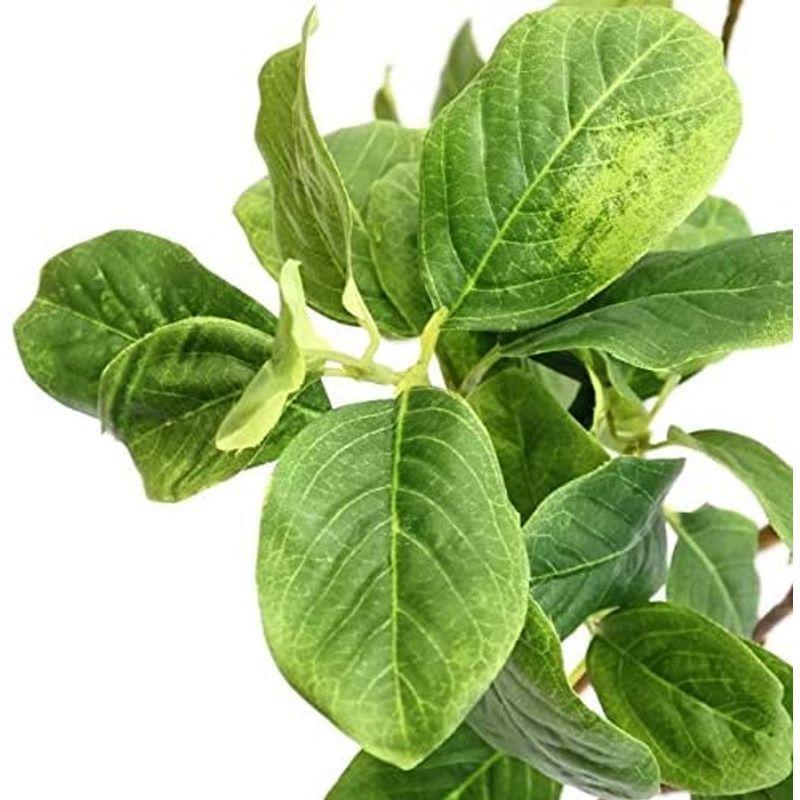 GREENPARK マグノリアリーフ ガラスシリンダー H35 白玉石 造花 フェイクグリーン マグノリアリーフ ガラスシリンダー H35 白玉石 造花 フェイクグリーン 　