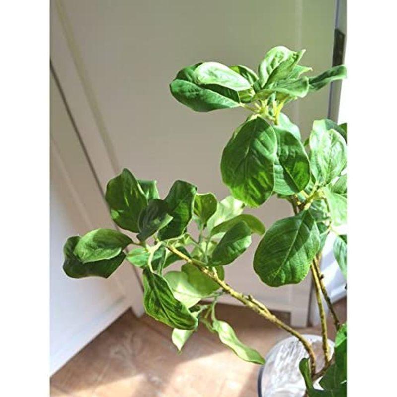 GREENPARK マグノリアリーフ ガラスシリンダー H35 白玉石 造花 フェイクグリーン マグノリアリーフ ガラスシリンダー H35 白玉石 造花 フェイクグリーン 　