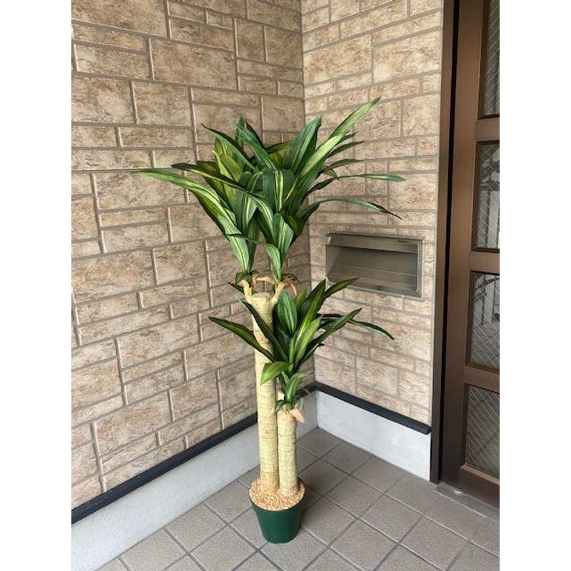 観葉植物 フェイクグリーン ドラセナマッサンゲアナ 高さ128ｃｍ 鉢